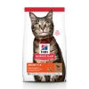 Hill's Hill's Adult Lam & Rijst Kattenvoer 10 Kg + 12 X Hill's Adult Favourite Selection Pouches -Default Template 5 052742022949 1