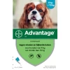 Advantage 100 Anti Vlooien En Teken Druppels Hond 4 10 Kg 4 Pipetten 1, 0 Ml -Default Template 5 4007221047391 1