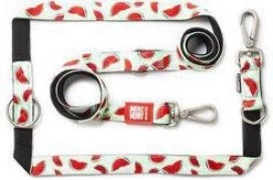 Max & Molly Multifunctionele Hondenlijn Watermelon200cm Lang 15mm Breed -Default Template 5 max en molly max en molly multi function hondenriem watermelon m 21116