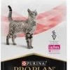 Purina Pro Plan Veterinary Diets Feline DM Diabetes Management Kattenvoer 1, 5 Kg -Default Template 5 purina pro plan vd dm diabetes management kat 1 5 kg 28656