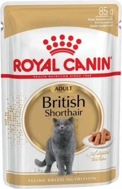 Royal Canin British Shorthair Adult Kattenvoer Bestel Ook Natvoer 12 X 85 G British Shorthair -Default Template 5 royal canin breed royal canin british shorthair adult kattenvoer bestel ook natvoer 12 x 85 g britis