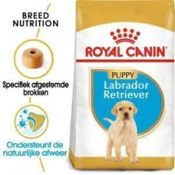 Royal Canin Breed 2x12kg Labrador Retriever Puppy Hondenvoer -Default Template 5 royal canin breed royal canin puppy labrador retriever hondenvoer 3 kg 9774