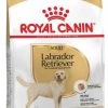 Royal Canin Breed 2x12kg Labrador Retriever Adult Hondenvoer -Default Template 5 royal canin labrador retriever adult hondenvoer 3 kg 13514