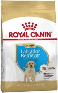 Royal Canin Breed 2x12kg Labrador Retriever Puppy Hondenvoer -Default Template 5 royal canin labrador retriever junior 12 kg 41656