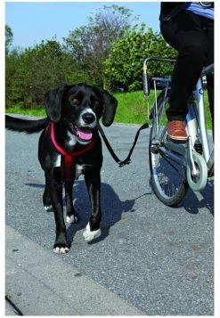 Trixie Fietsbeugel L Vorm En/of Zadelpenbeugel Voor L Beugel Zadelpenbeugel Per Stuk