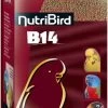 Versele-Laga Nutribird B14 Onderhoudsvoer Vogelvoer 800 G 1 Versele-Laga Nutribird B14 Onderhoudsvoer Vogelvoer 800 G -Default Template 5 versele laga nutribird b14 onderhoudsvoer 800 g 13717